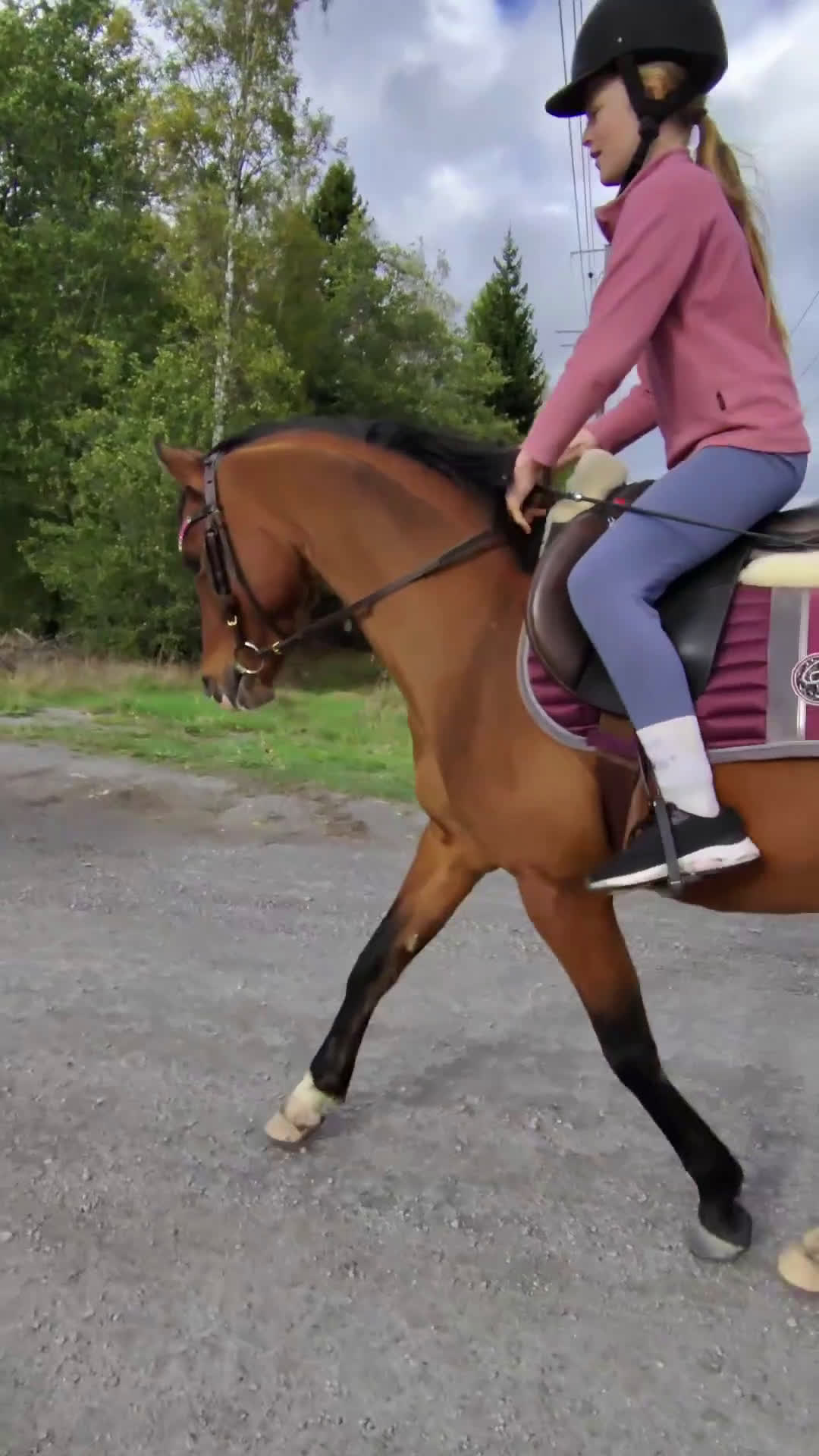 Allround hästar sökes: Ponnyn köpes, ung eller äldre och rutinerad  - Video 4