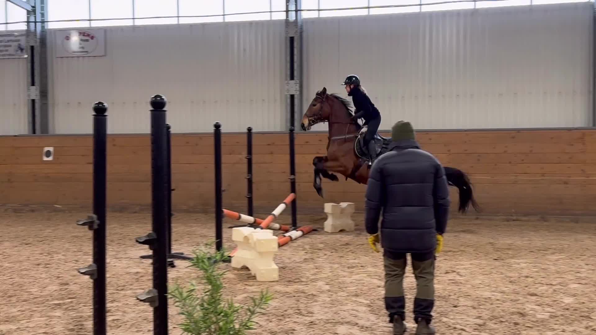 Hoppning hästar till salu: Trevligt sto - Video 4