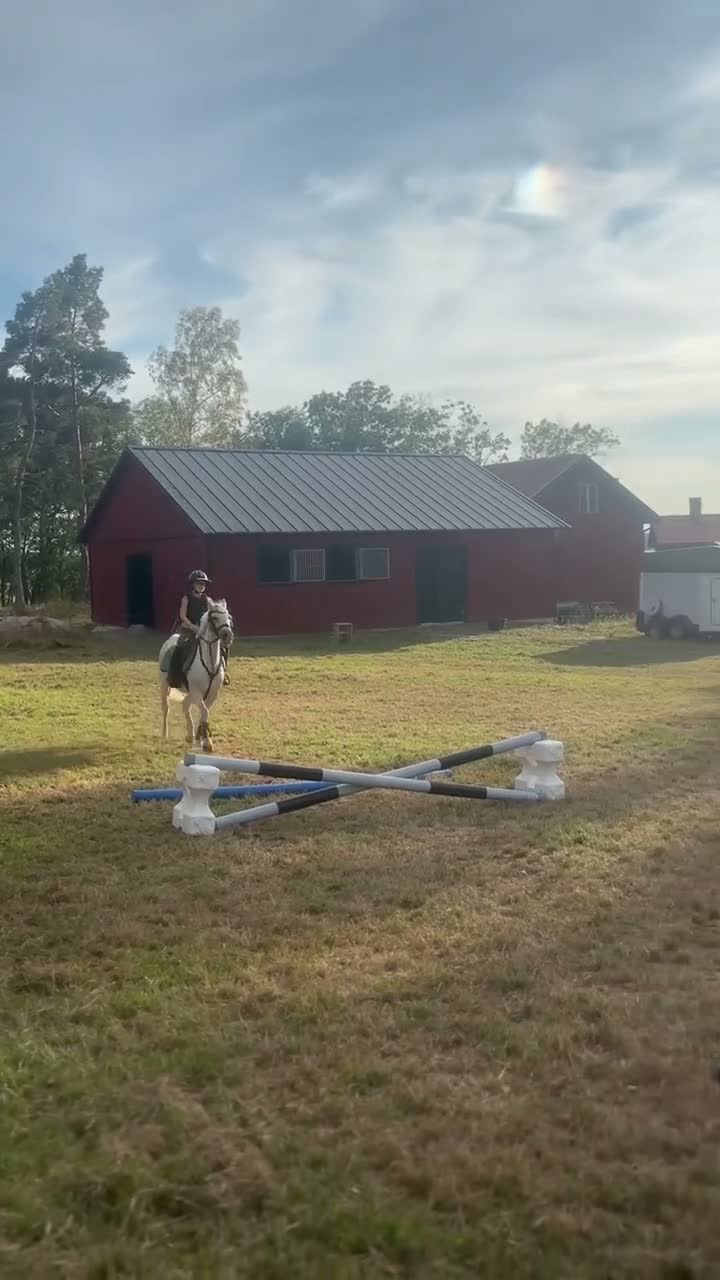 Allround hästar till salu: Tiara – ponnyn som gjorde vår lilla ryttare stor - Video 1
