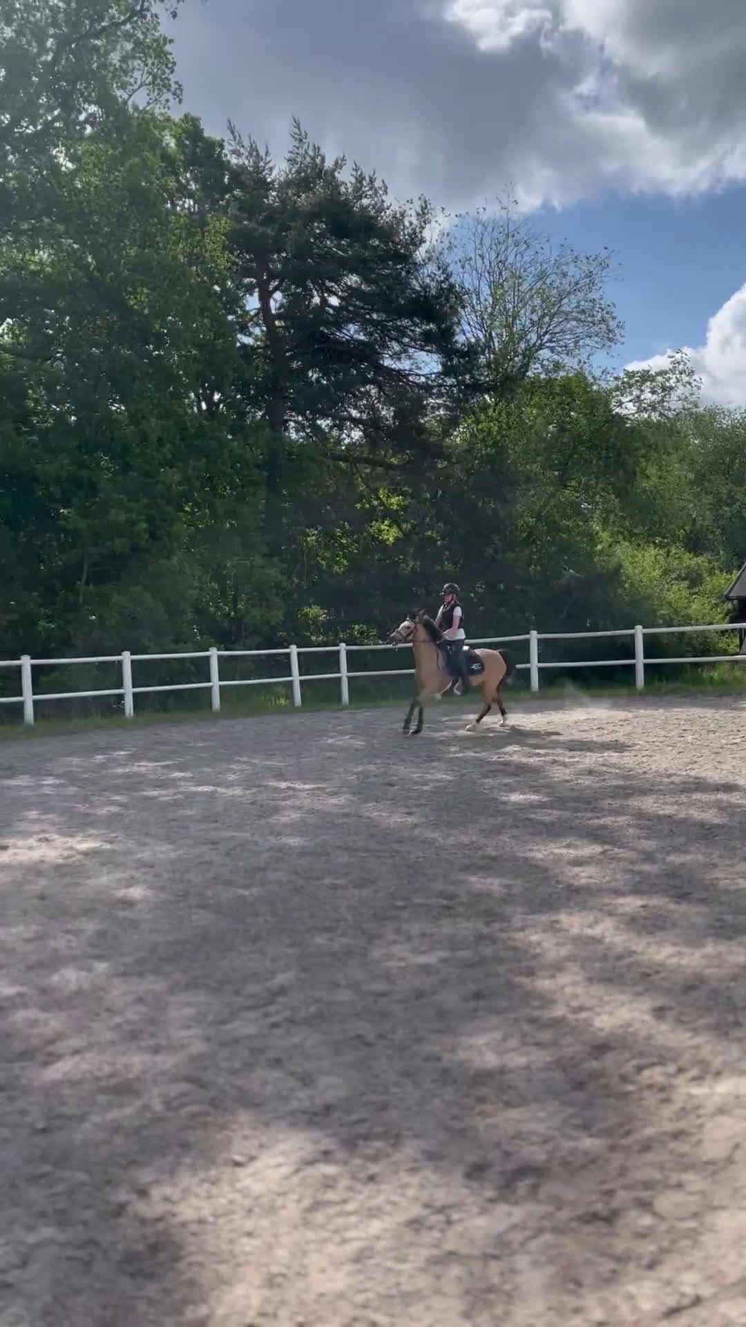 Säkerhetsvästar ryttarutrustning till salu: CRW skyddsväst i Nyköping - Video 1