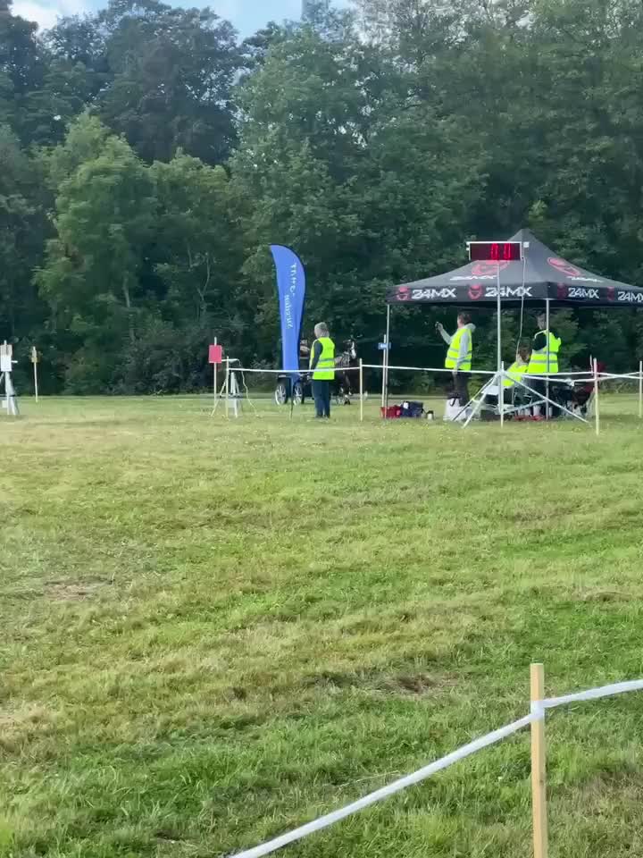 Körning hästar till salu: Karismatisk körponny  - Video 1