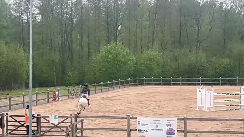 Hoppning hästar till salu: Häftig prisplockare - Video 4