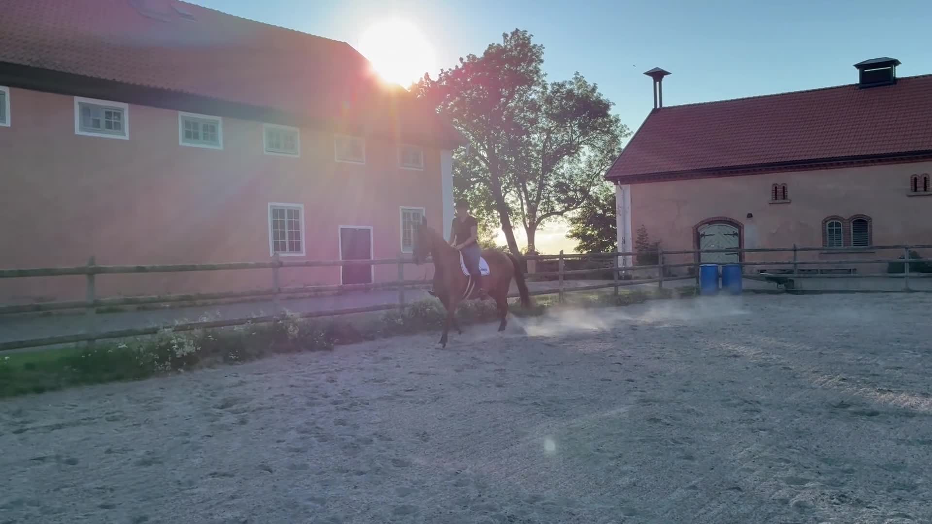 Dressyr hästar till salu: Hobbyhäst med utstrålning  i Götene - Video 5