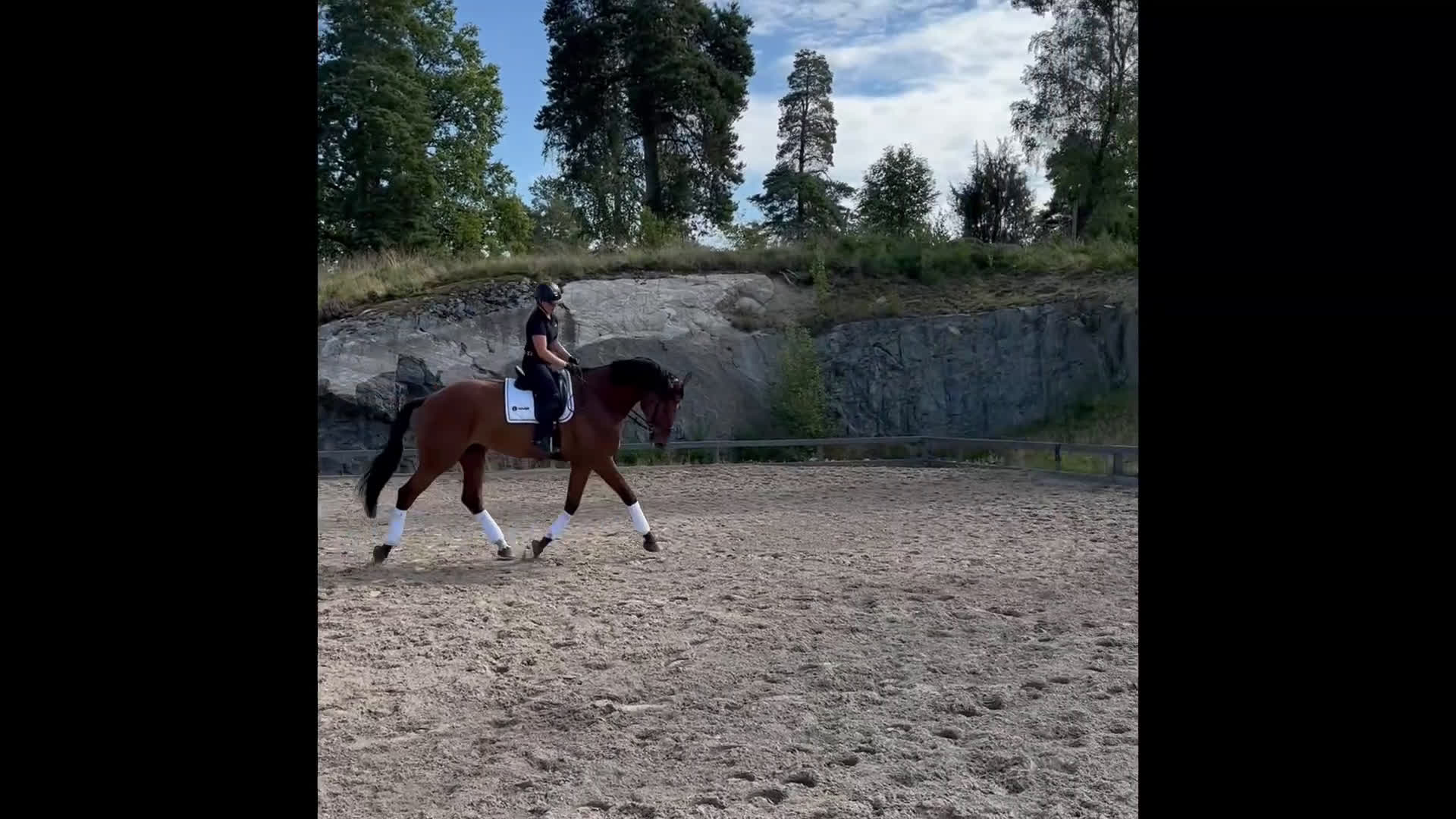 Allround hästar till salu: Stor snygg kille till valfri diciplin! i Flen - Video 1