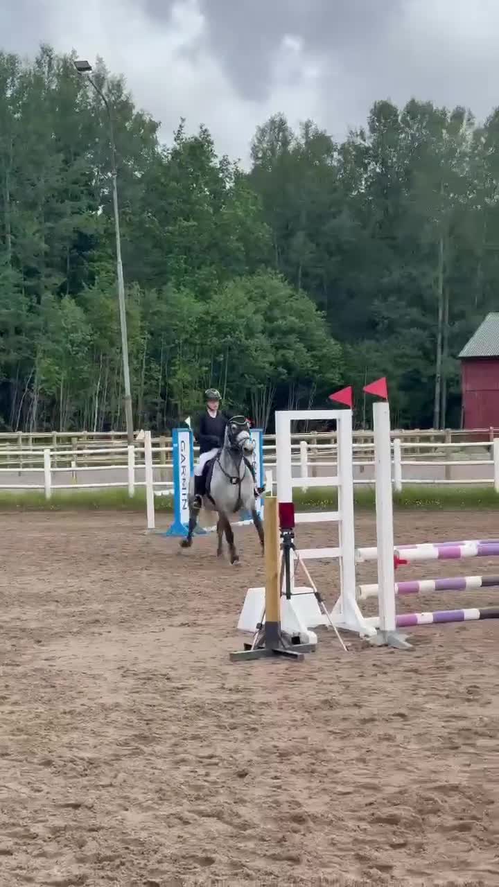 Hoppning hästar till salu: ❤️ Charlie – en ponny mycket kapacitet❤️ - Video 1