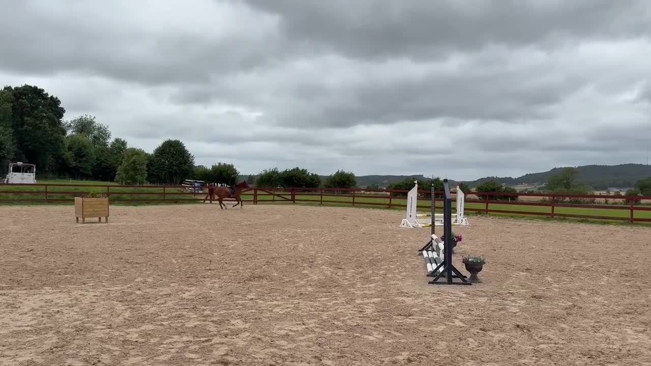 Hoppning hästar till salu: Trevlig tävlingsponny - Video 2