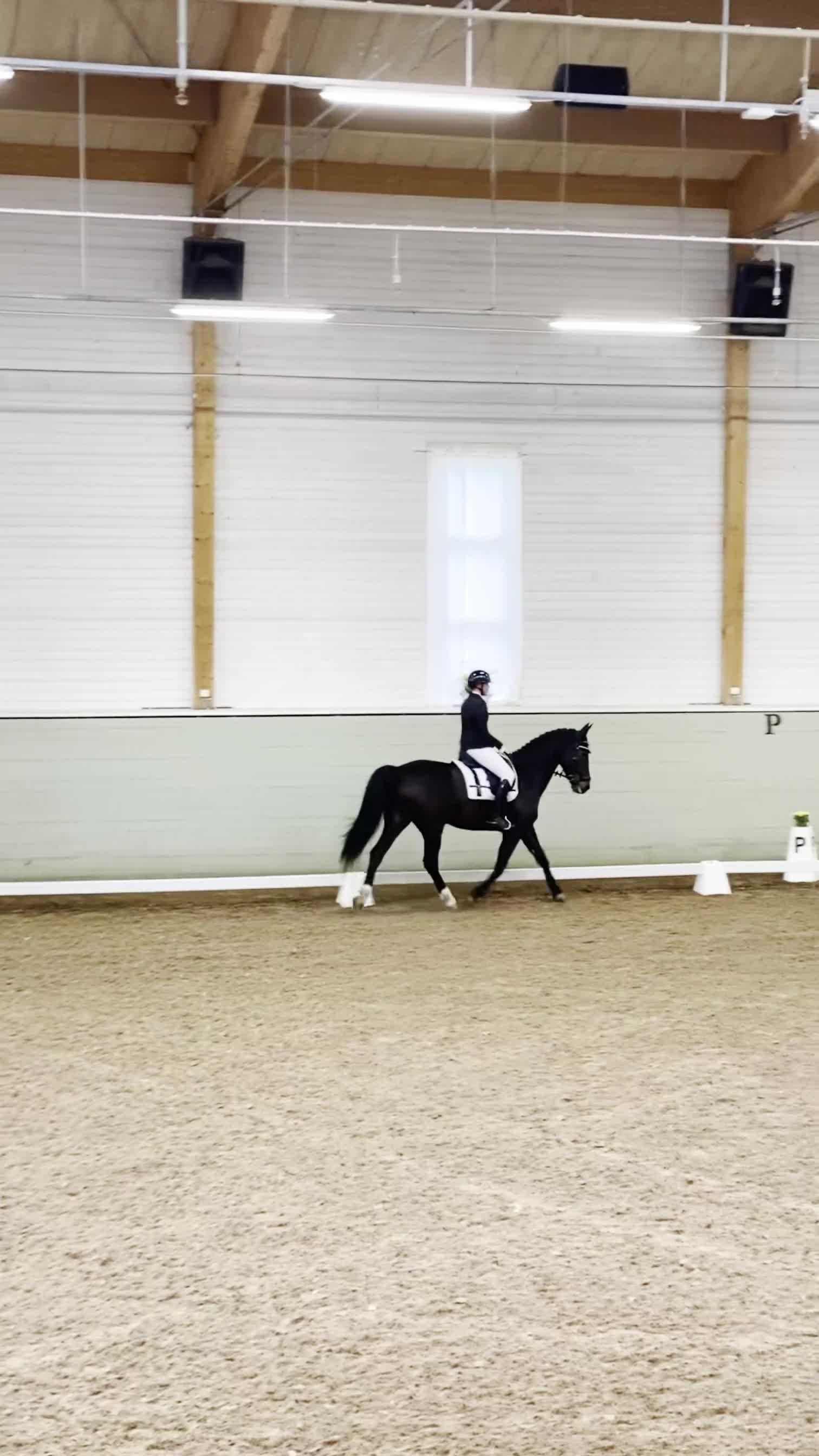 Allround hästar till salu: Jora - fantastisk sto för dig som vill utvecklas i Norrtälje - Video 2