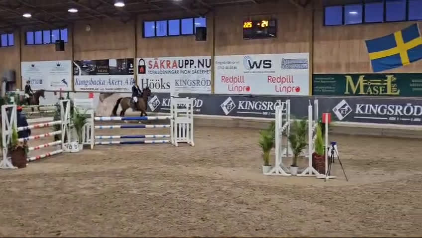 Hoppning hästar till salu: Snygg välutbildad hoppstammad valack i Kristianstad - Video 2