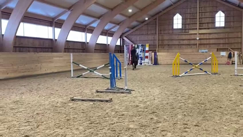 Hoppning hästar till salu: Elithäst - 5 åring med toppstam - Video 2