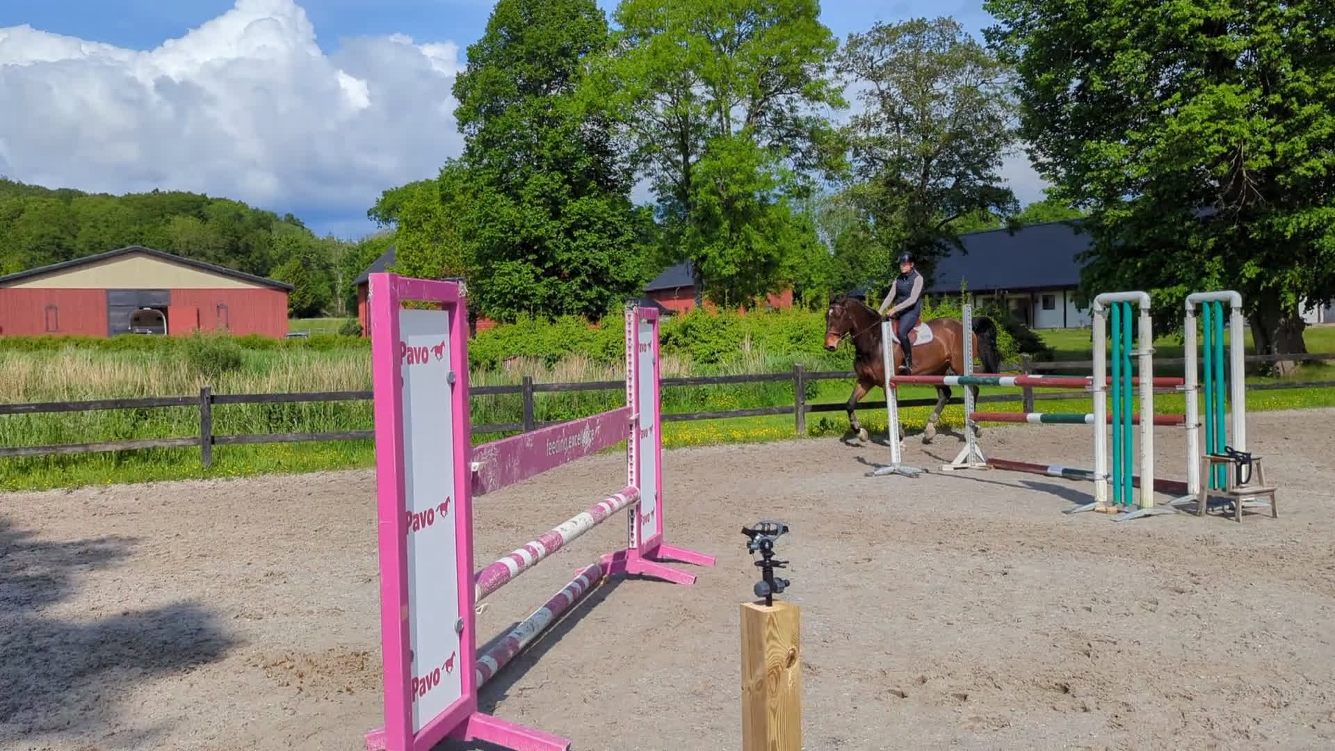 Hoppning hästar till salu: Hopphäst  i Landvetter - Video 1