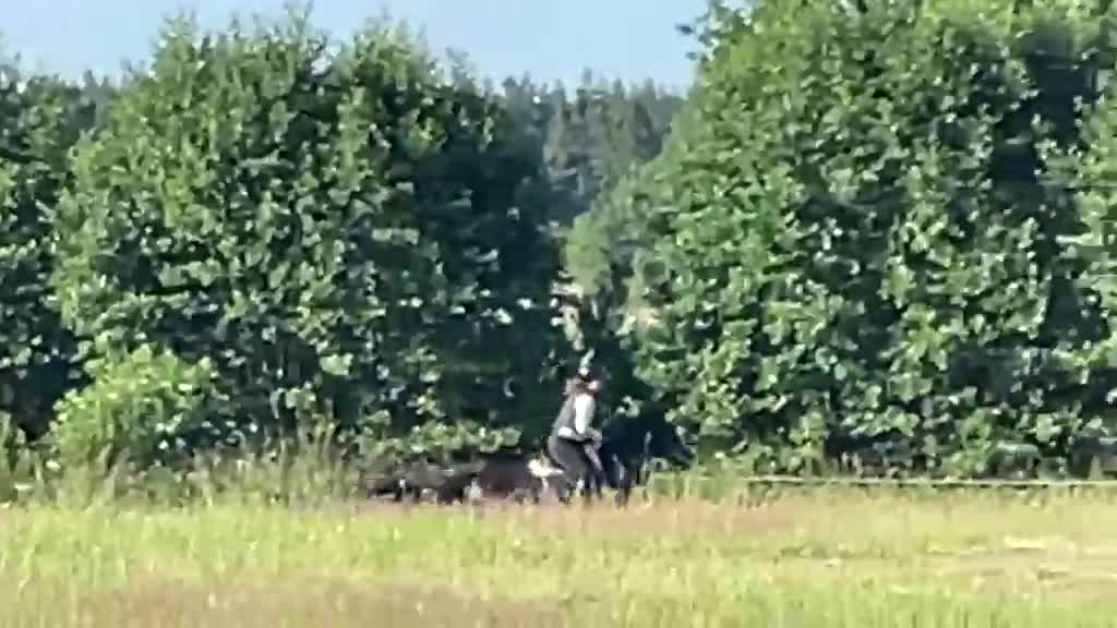 Allround hästar till salu: Kattelbo Hulda  i Kalmar - Video 4