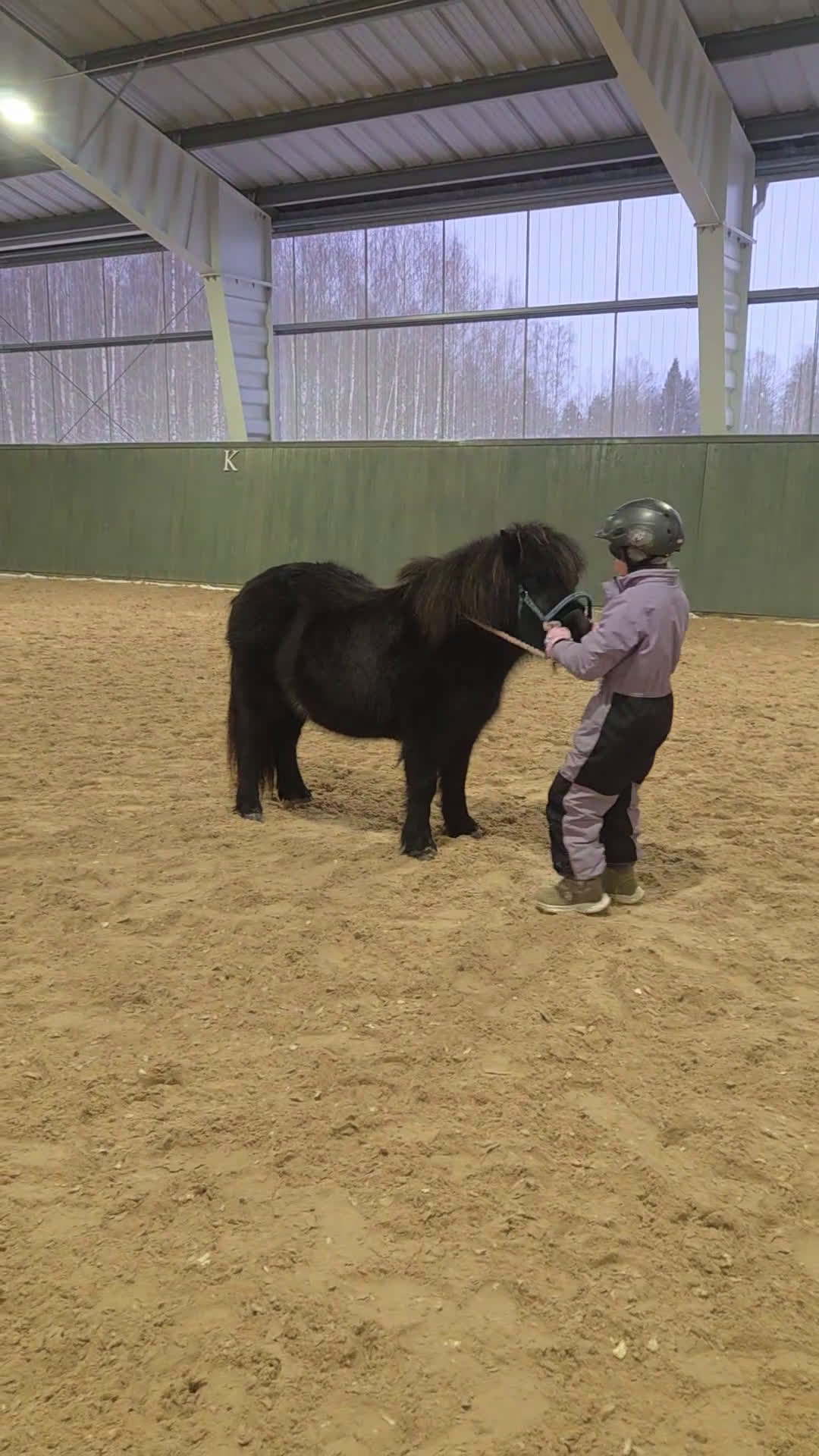 Allround hästar till salu: Supersöta Mimmi - Video 1