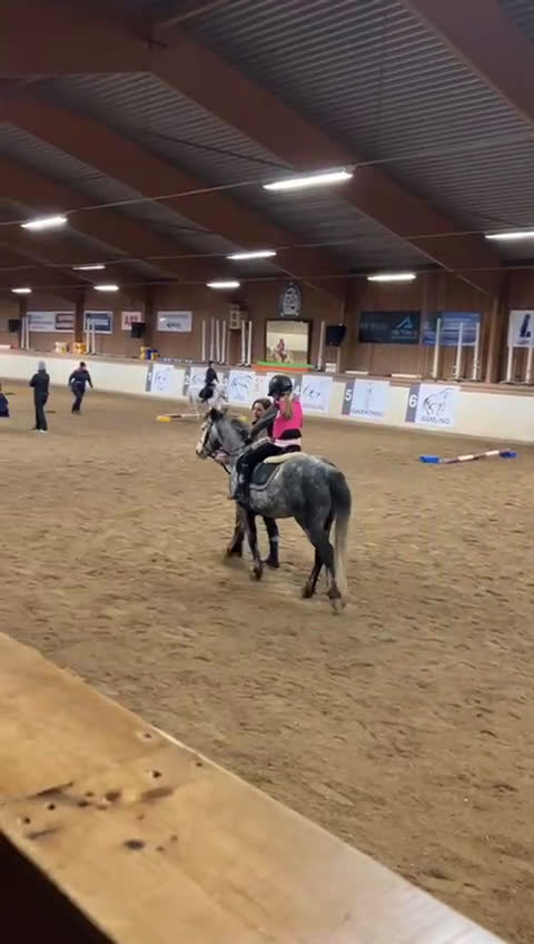 Allround hästar till salu: Sötaste Robbie i Ludvika - Video 1