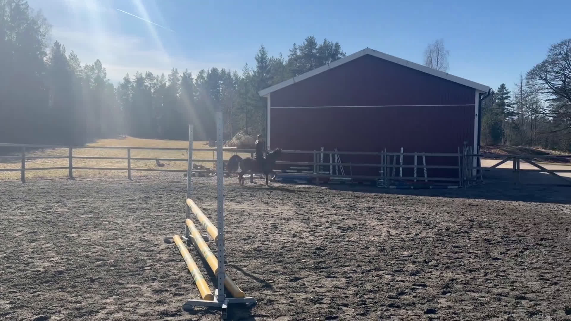 Hoppning hästar till salu: B-ponny med kapacitet  - Video 4