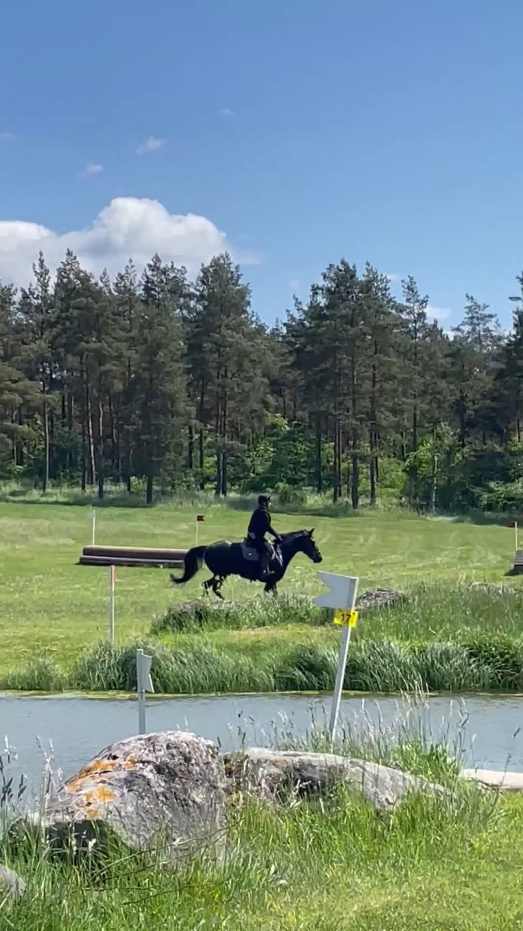 Fälttävlan hästar till salu: Fantastisk Fältävlansponny🌟 i Vetlanda - Video 1