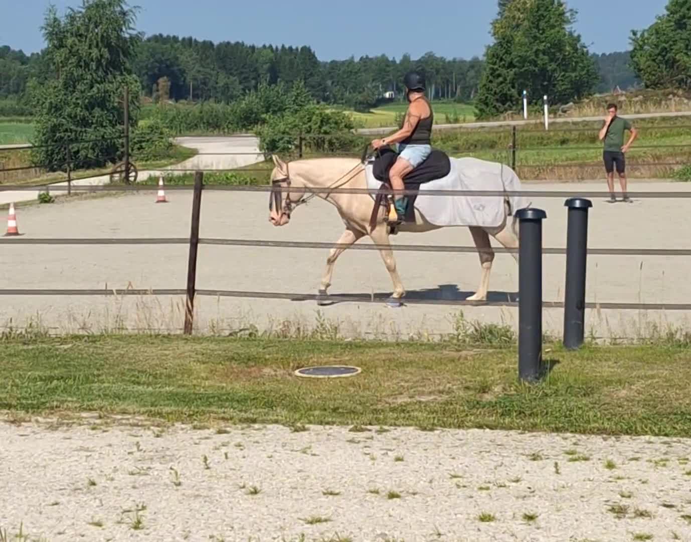 Allround hästar sökes: Foderhäst/ponny Söker, letar, längtar. - Video 5