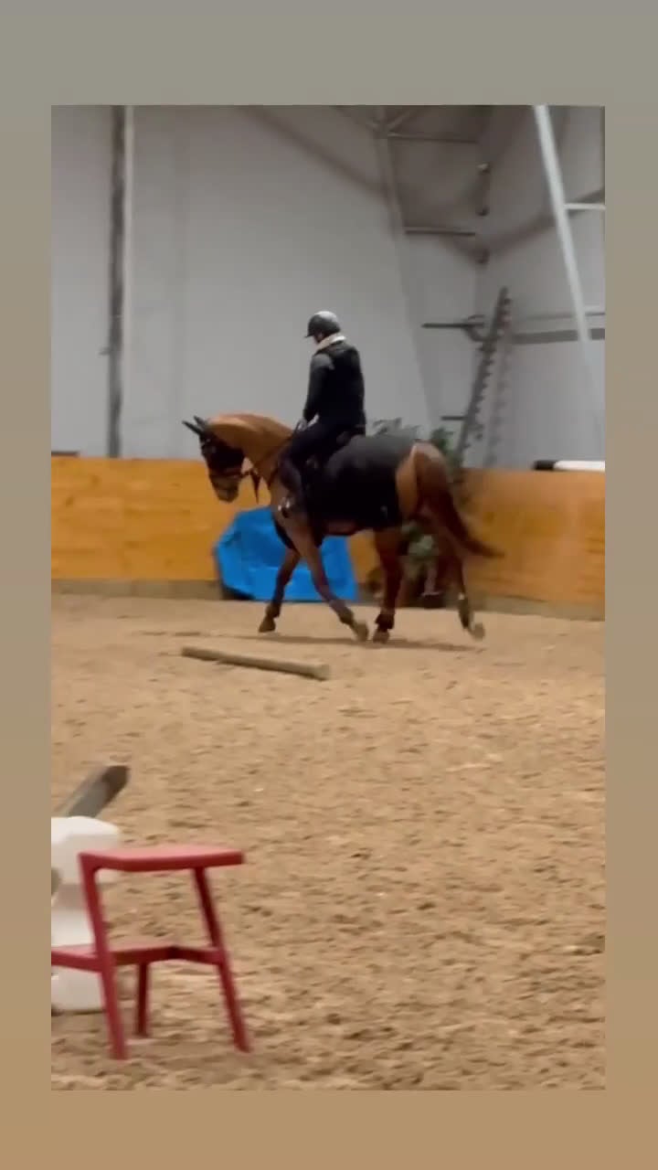 Hoppning hästar till salu: Ferrari söker ny förare! - Video 1