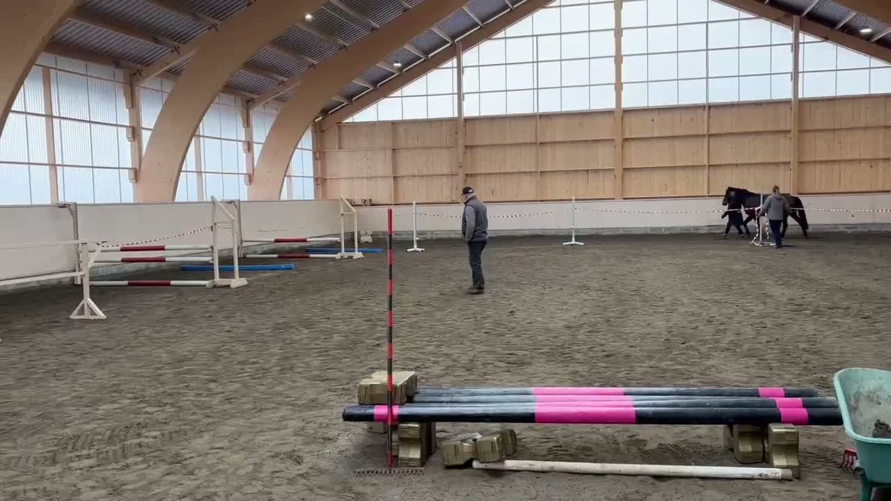 Hoppning hästar till salu: Okomplicerad treåring e Nebraska VDL i Kättilstorp - Video 5