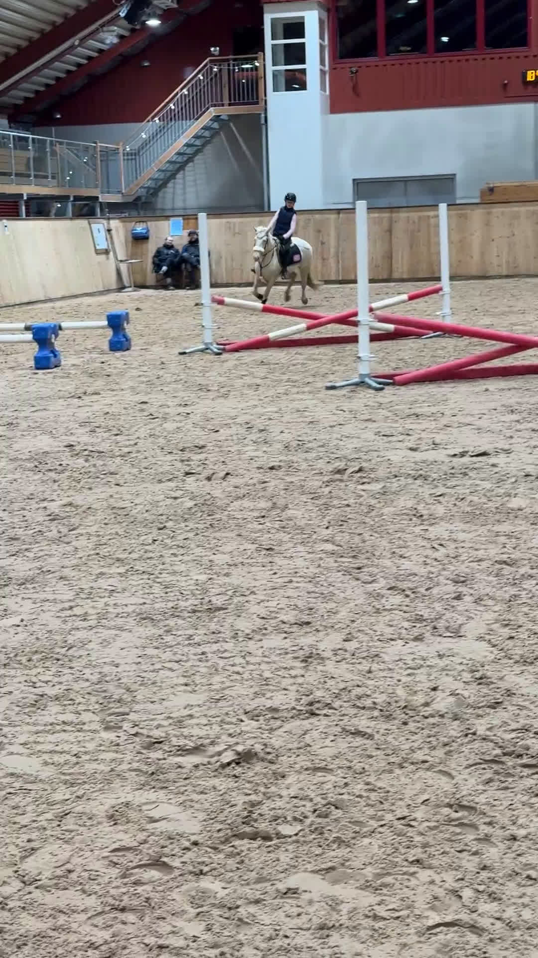 Hoppning hästar till salu: Talangfull drömponny! - Video 2