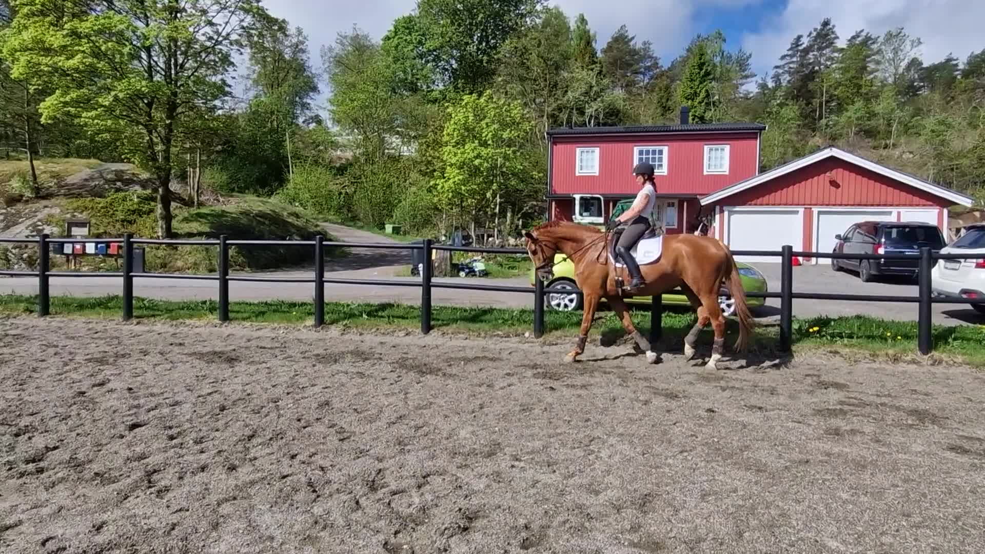 Dressyr hästar till salu: Talangfull valack för träning och tävling  - Video 2