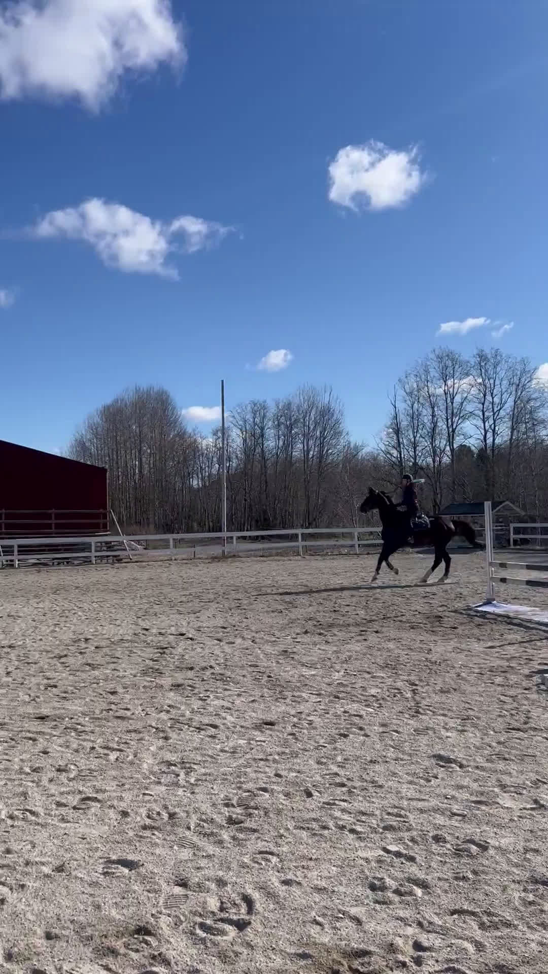 Allround hästar till salu: Trevlig allroundhäst/ridgymnasium? i Bjästa - Video 4