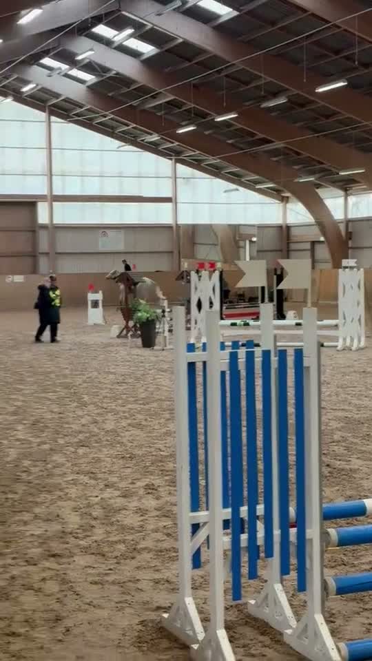 Hoppning hästar till salu: Maxad c-ponny - Video 3