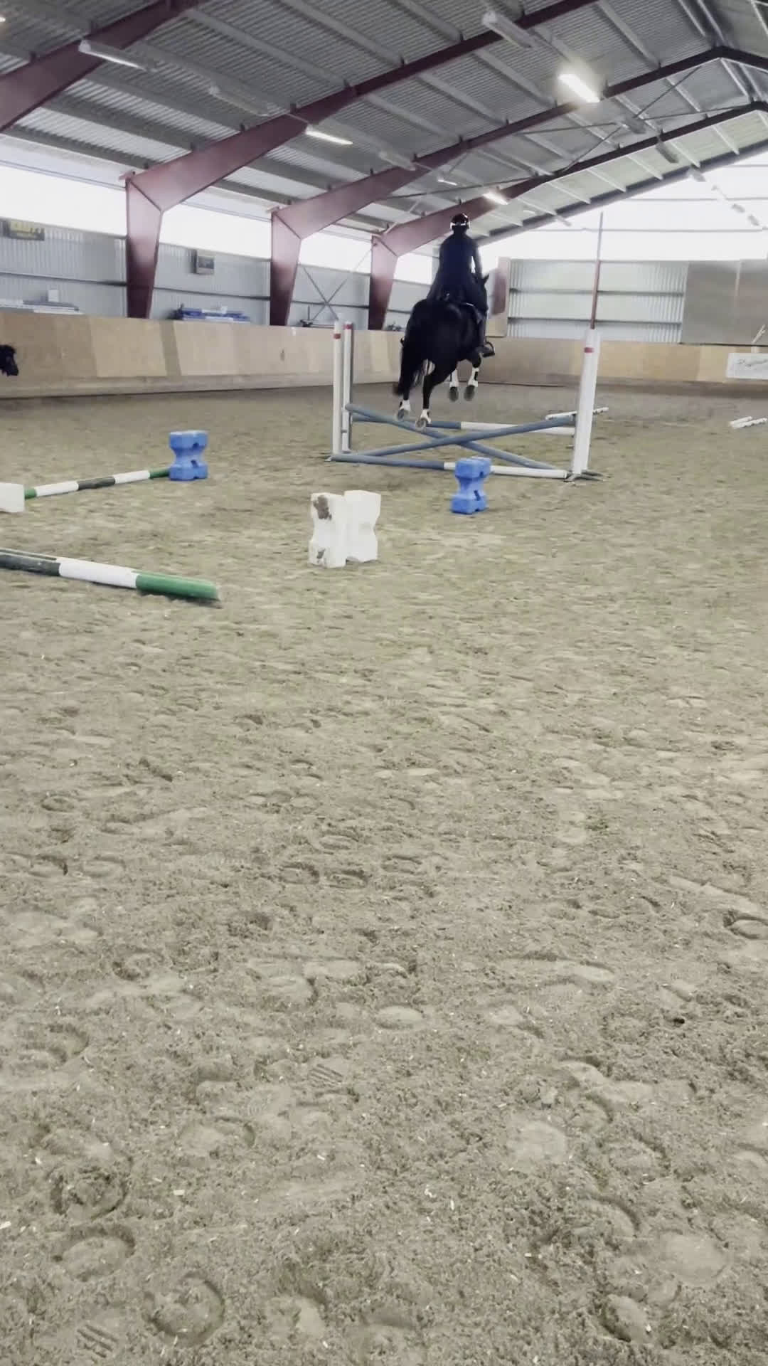 Dressyr hästar till salu: Tuff brud i lyxförpackning - Video 2