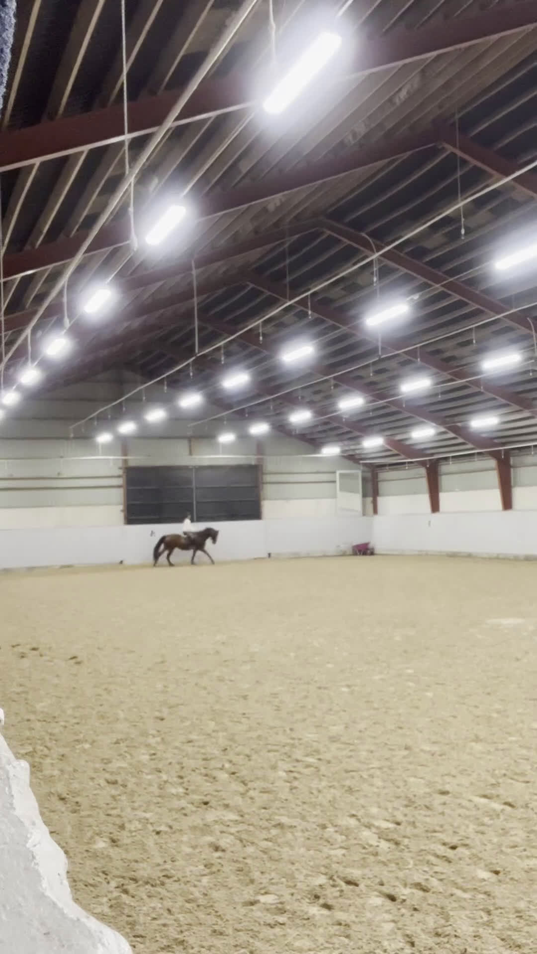 Allround hästar till salu: Fantastiskt sött sto i Tomelilla - Video 1