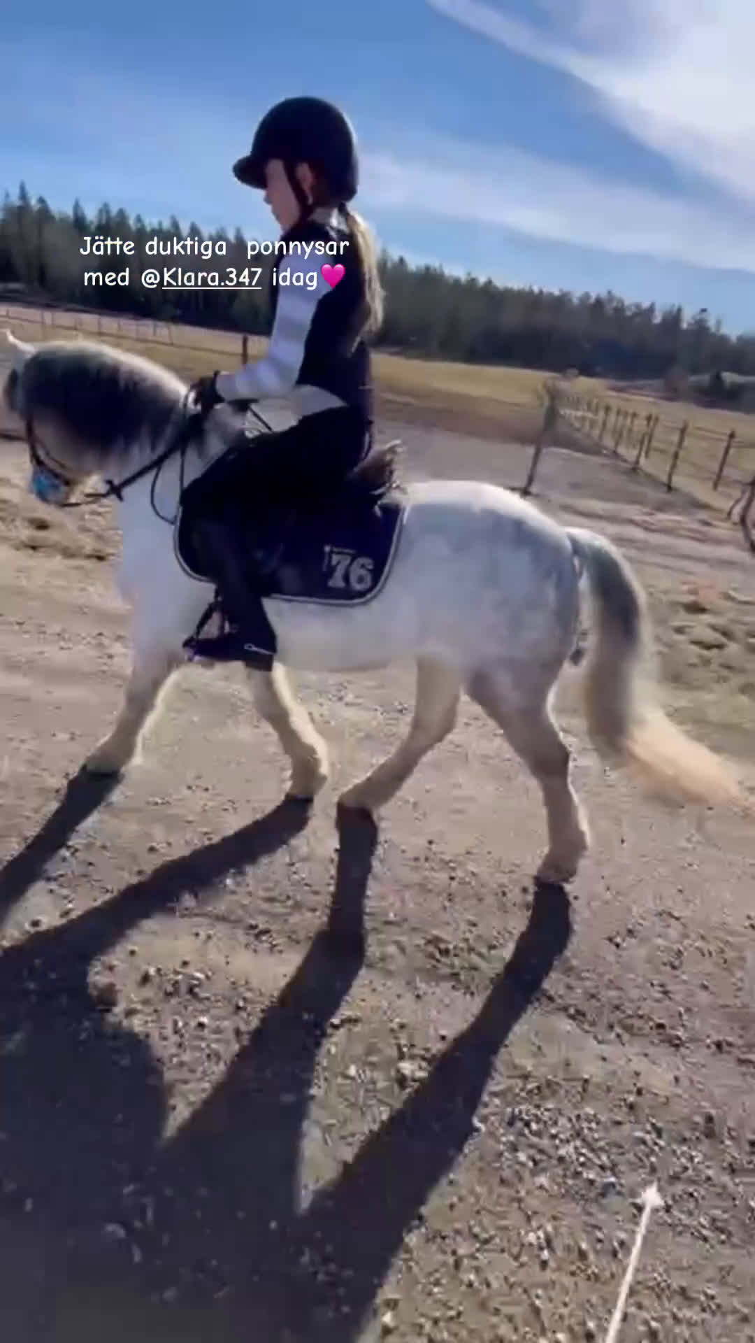 Allround hästar sökes: Söker en bästa vän,foder,eller köp💕 i Västerhaninge - Video 3