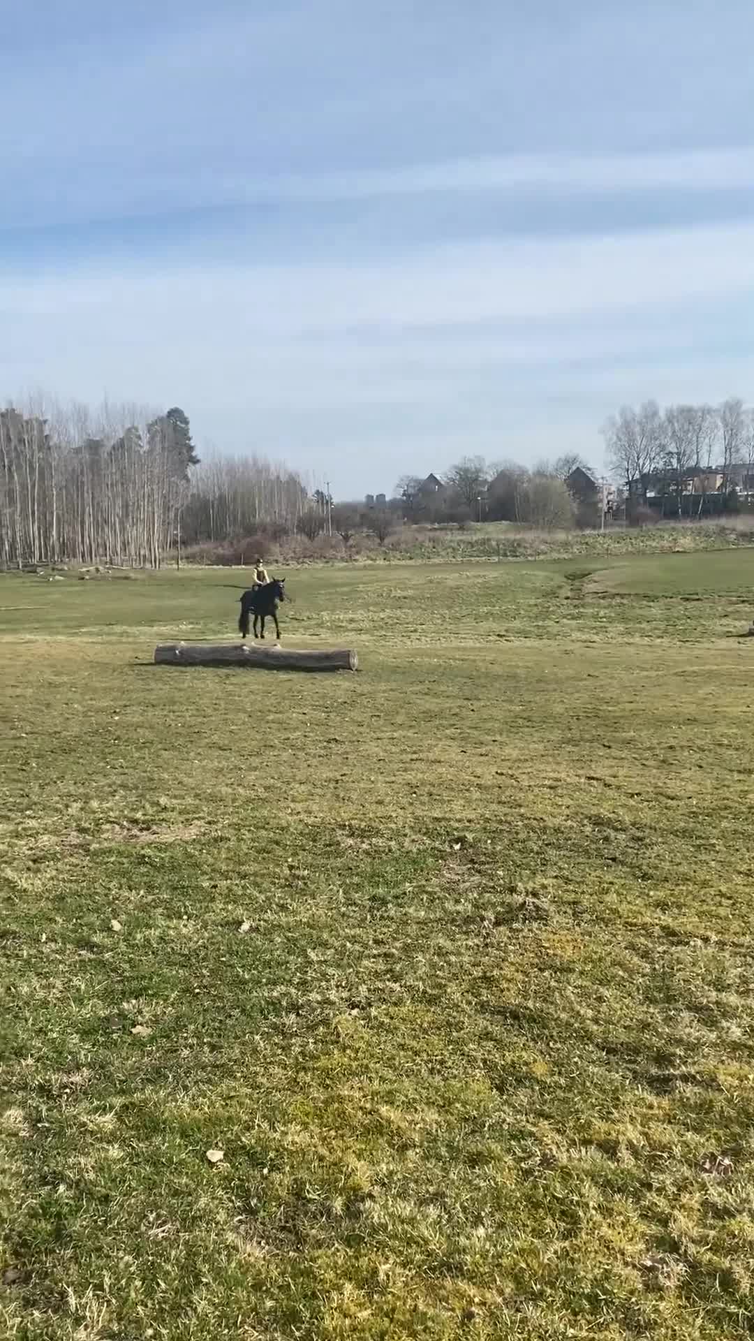Allround hästar till salu: Trygg och trevlig allroundhäst söker nytt hem - Video 1
