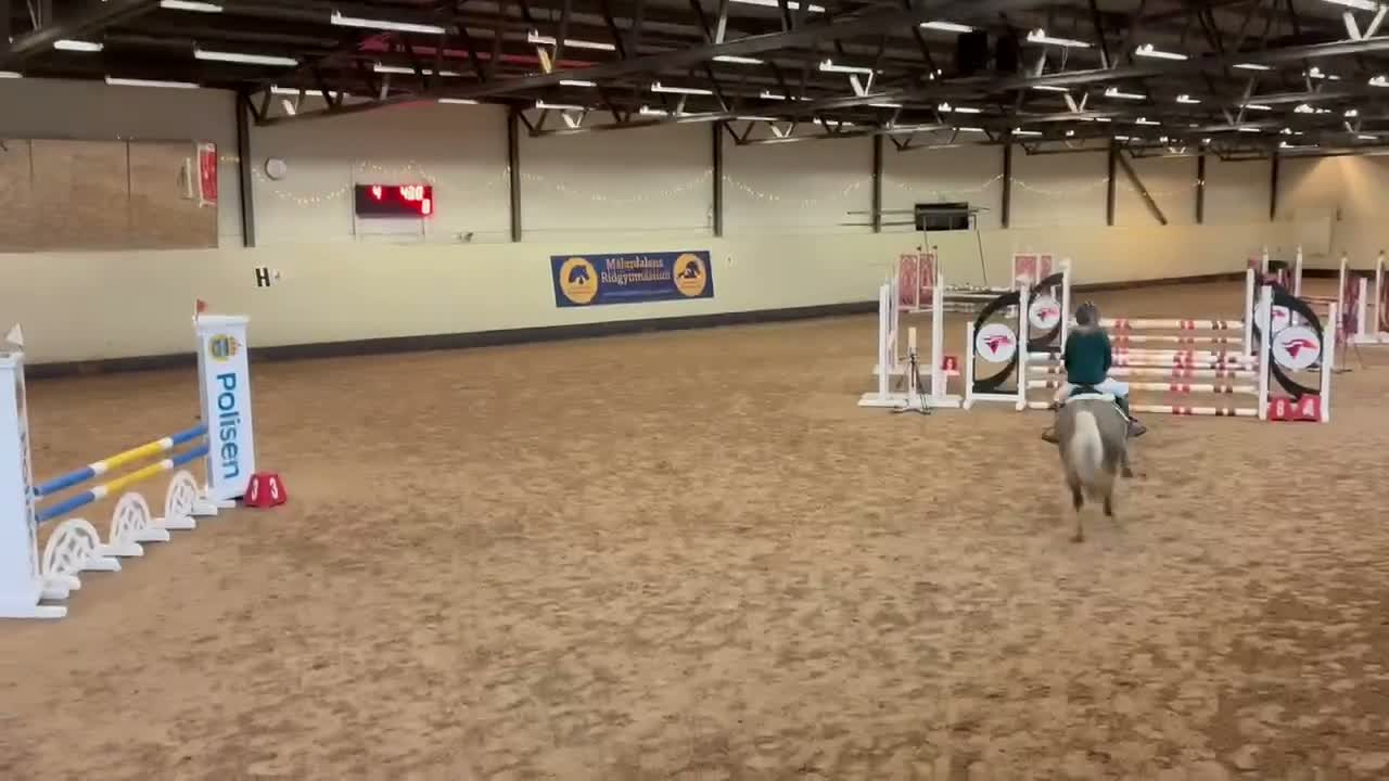 Hoppning hästar till salu: Rosettplockande läromästare kat B  - Video 4