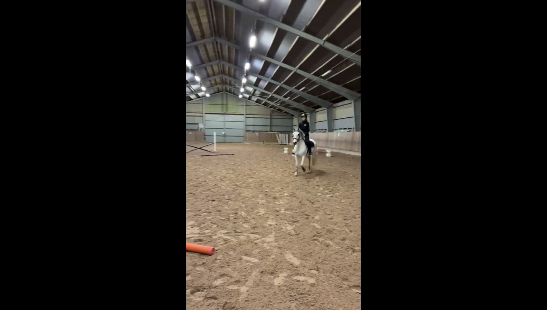 Allround hästar till salu: 🌟 Underbar D-ponny till salu – 12 år, valack,  🌟 i Höllviken - Video 3