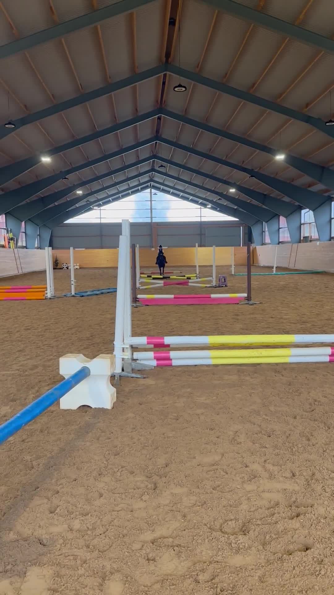 Allround hästar till salu: Superfin B-ponny! - Video 3