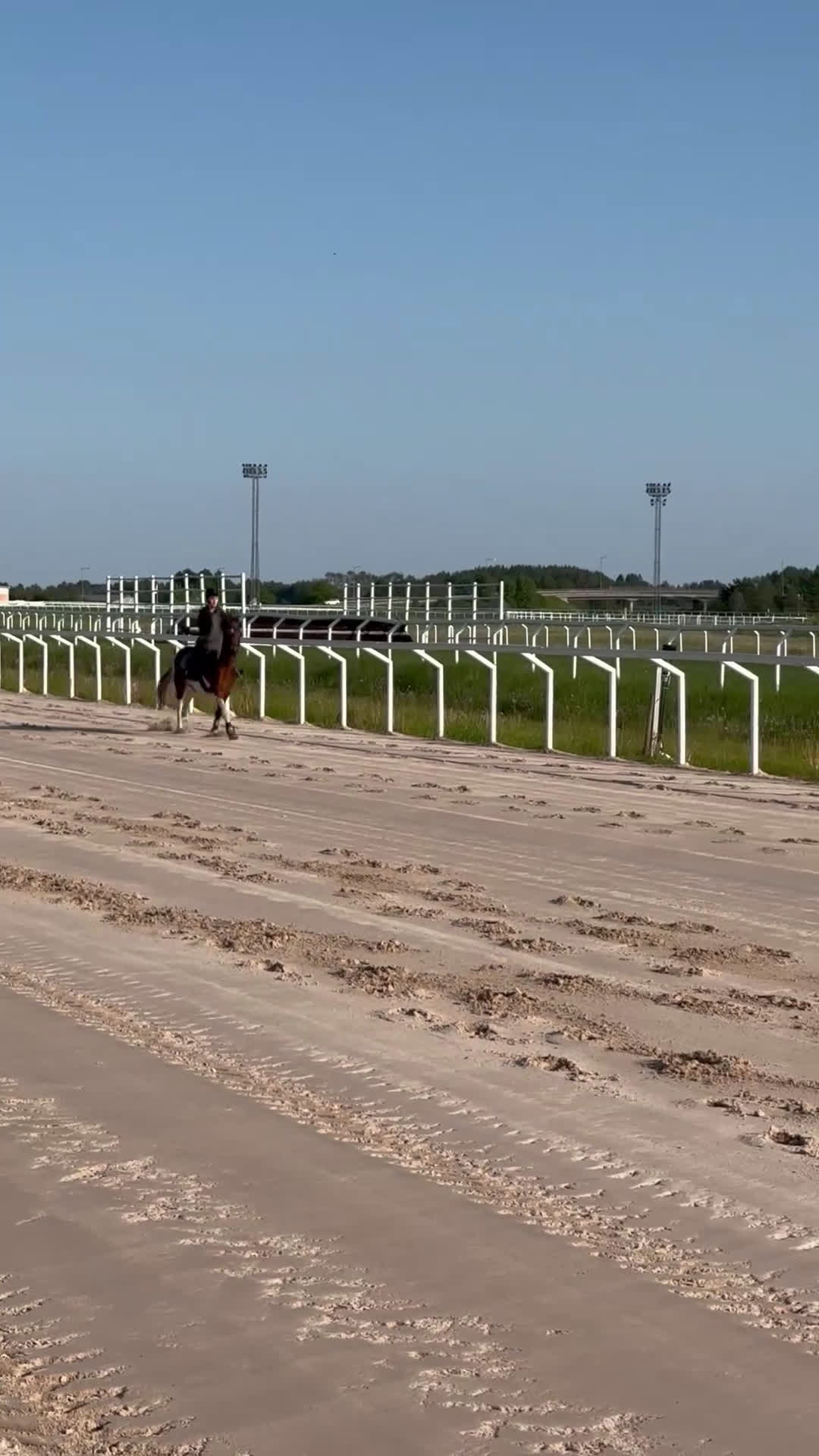 Allround hästar till salu: Världens gulligaste Bianca!  i Värmdö - Video 5