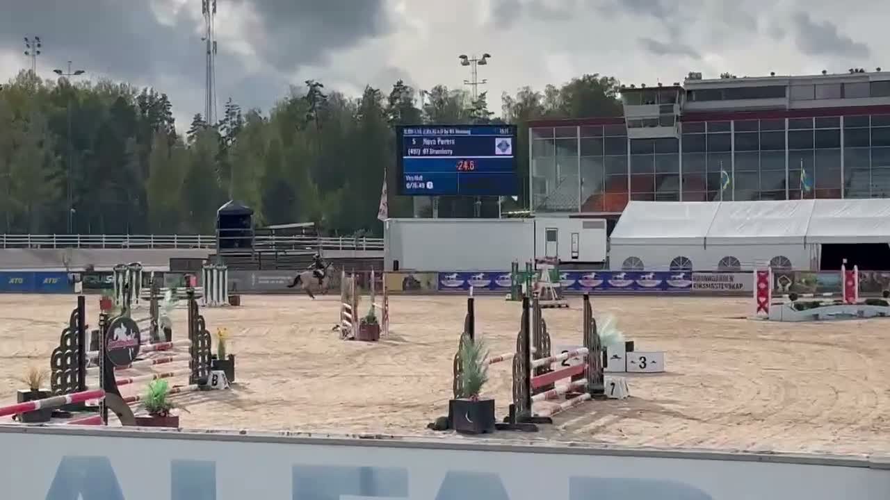 Hoppning hästar till salu: 🌟En av Sveriges bästa B ponnysar🌟 - Video 2