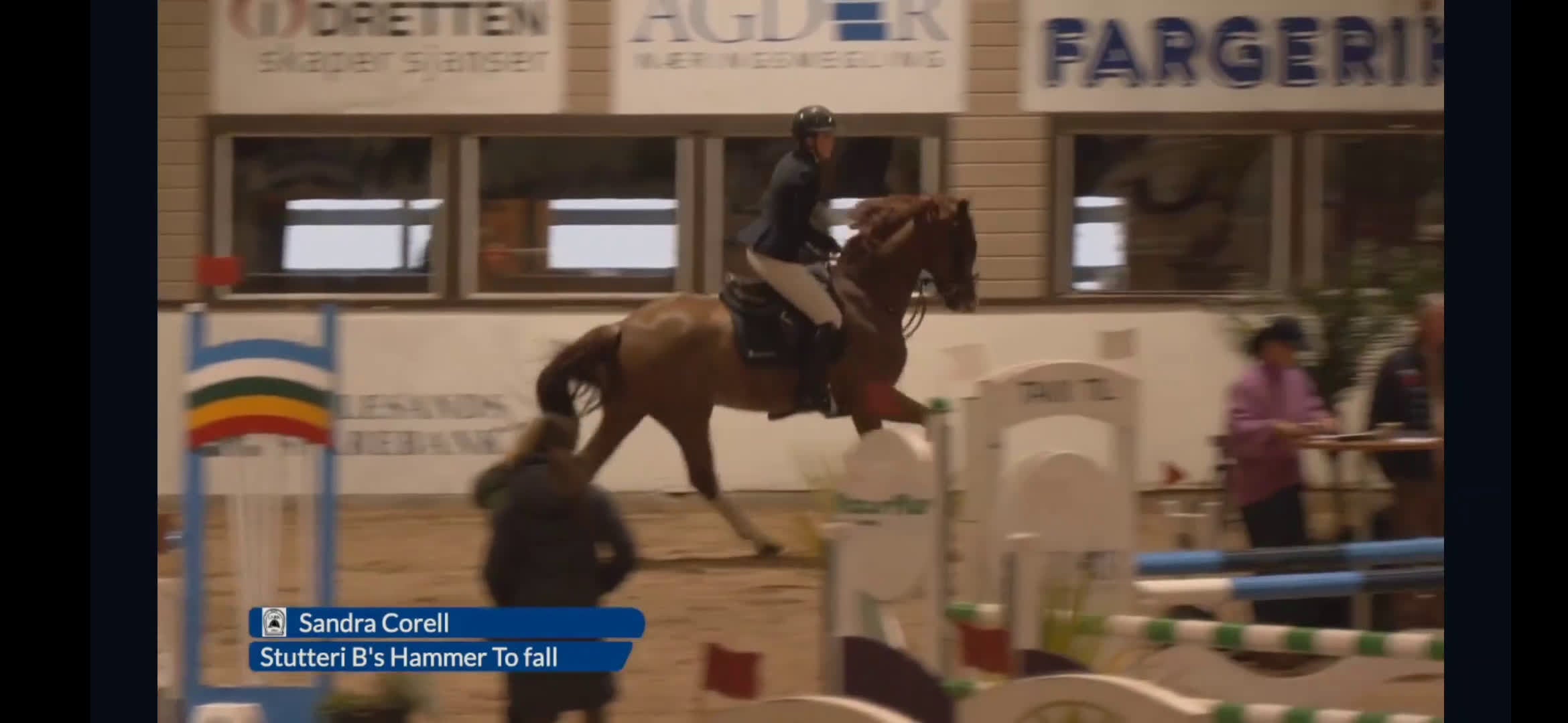 Avelshästar hästar till salu: Unghest klar for 5 års klassene - Video 2