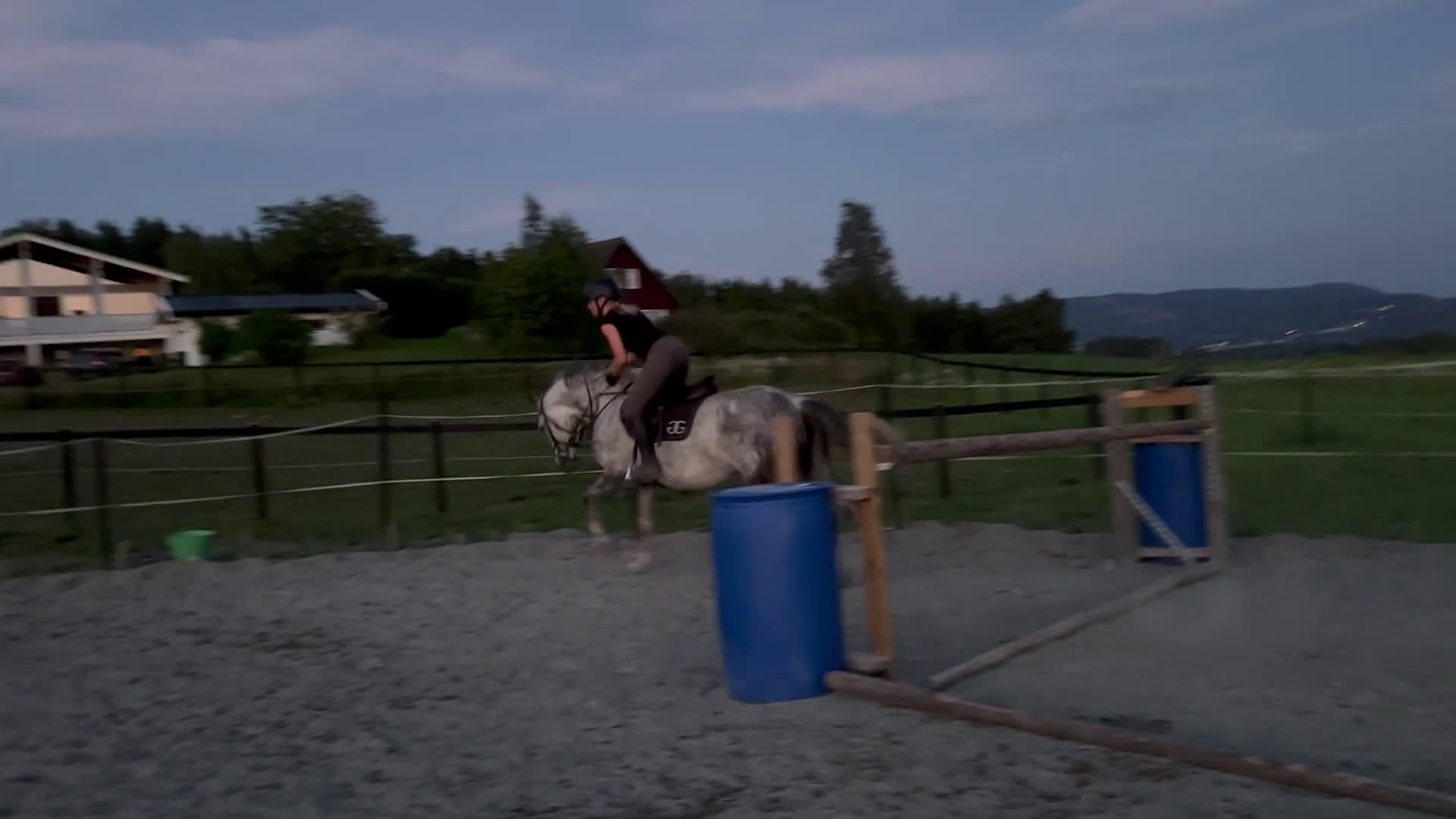 Hoppning hästar sökes: søker hest - Video 3