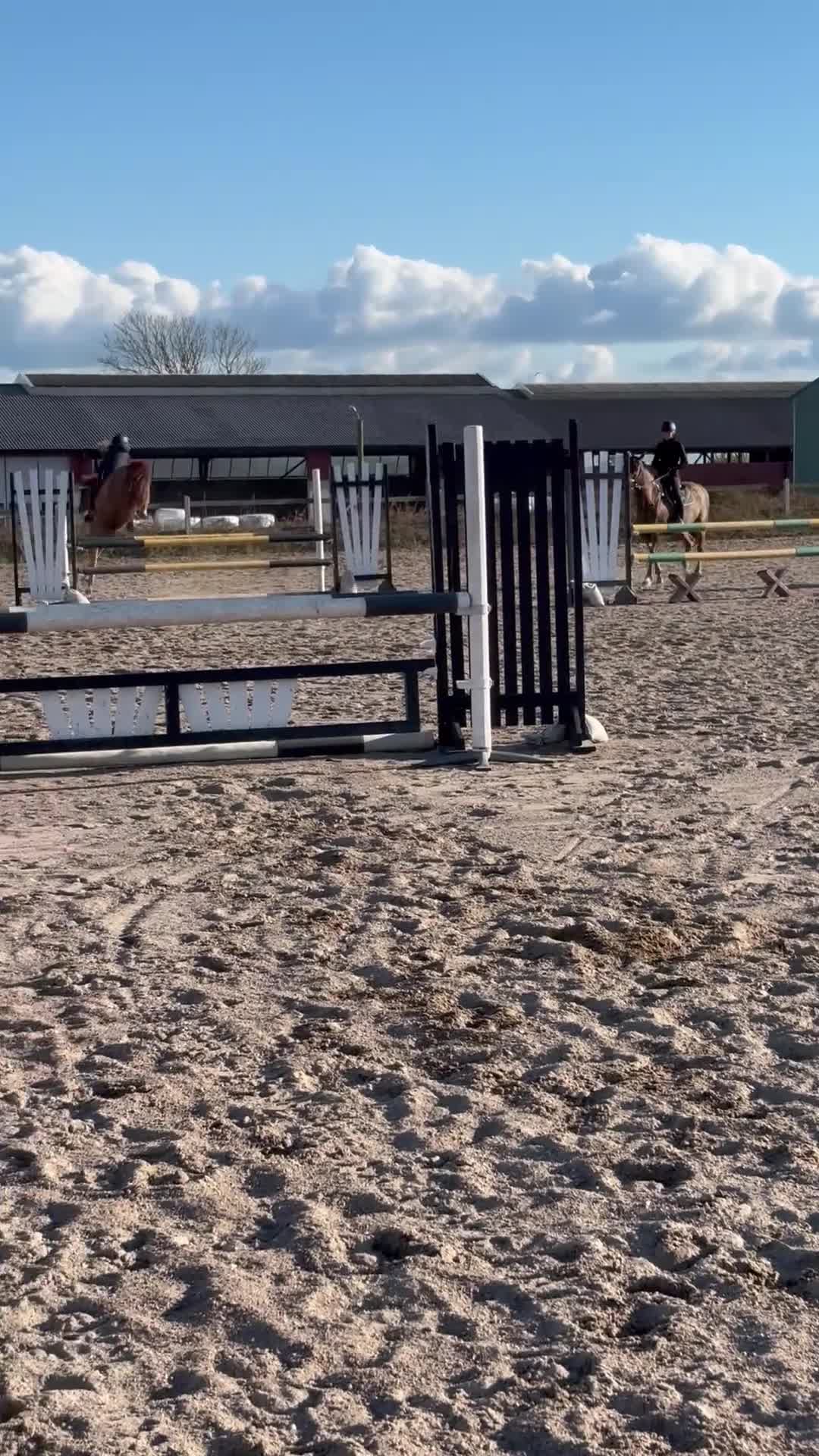 Hoppning hästar till salu: Mycket trevlig ponny!  - Video 2
