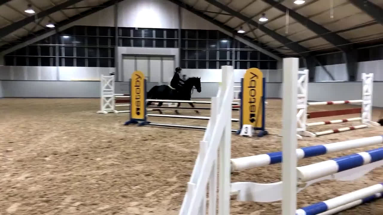 Allround hästar till salu: Fynda projekthäst - Video 1