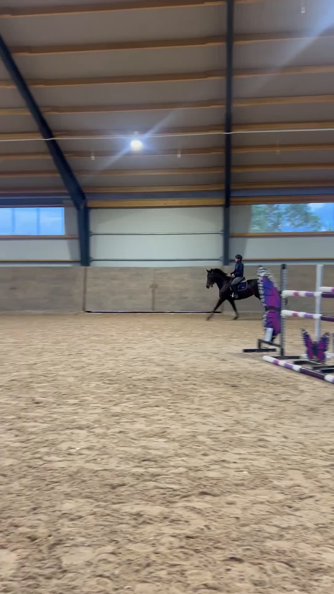 Hoppning hästar till salu: Charmigt hoppsto i Ängelholm - Video 1