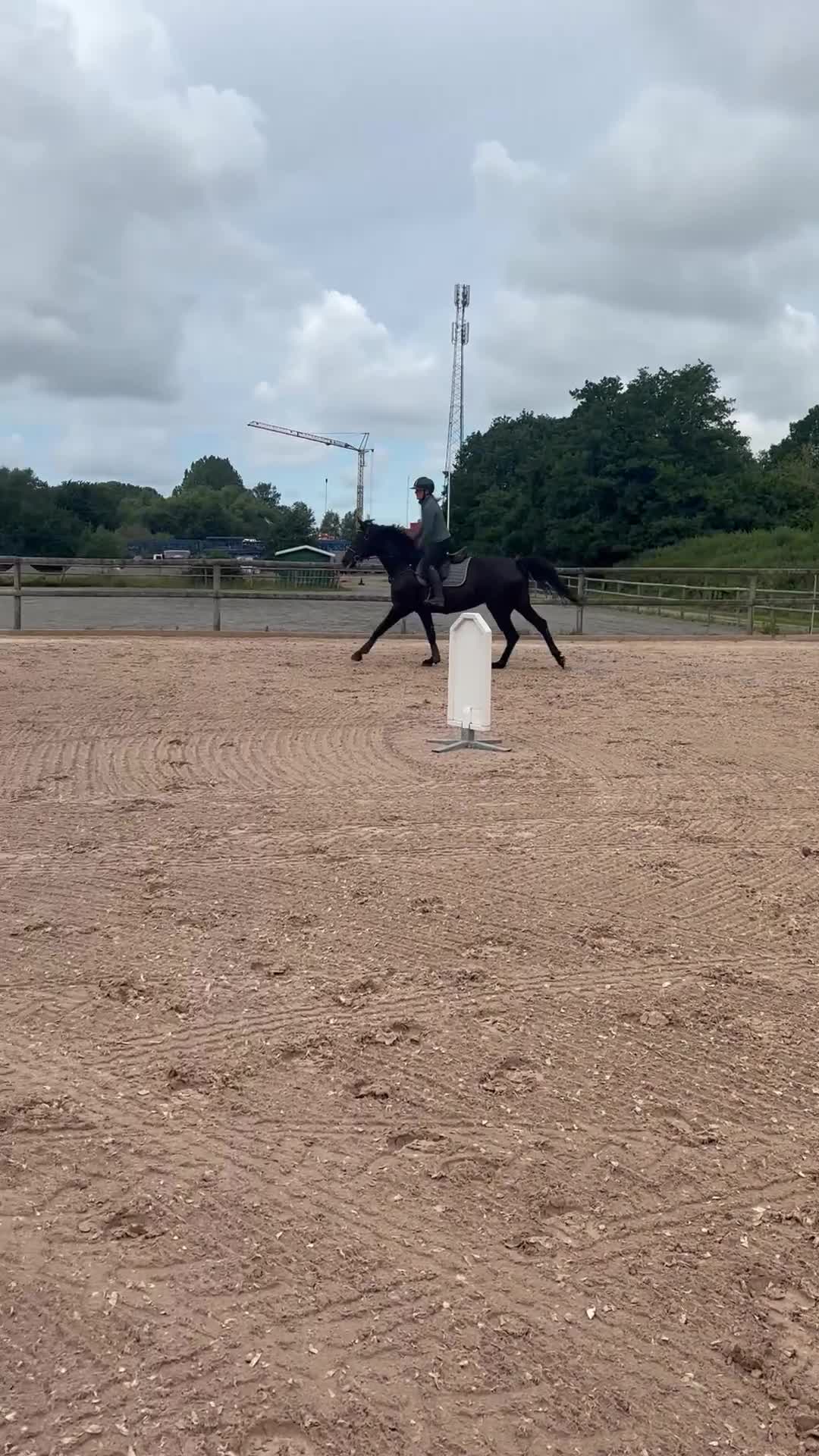 Hoppning hästar till salu: Trevligt sto född -20 ( Ike - Camaro )  - Video 2