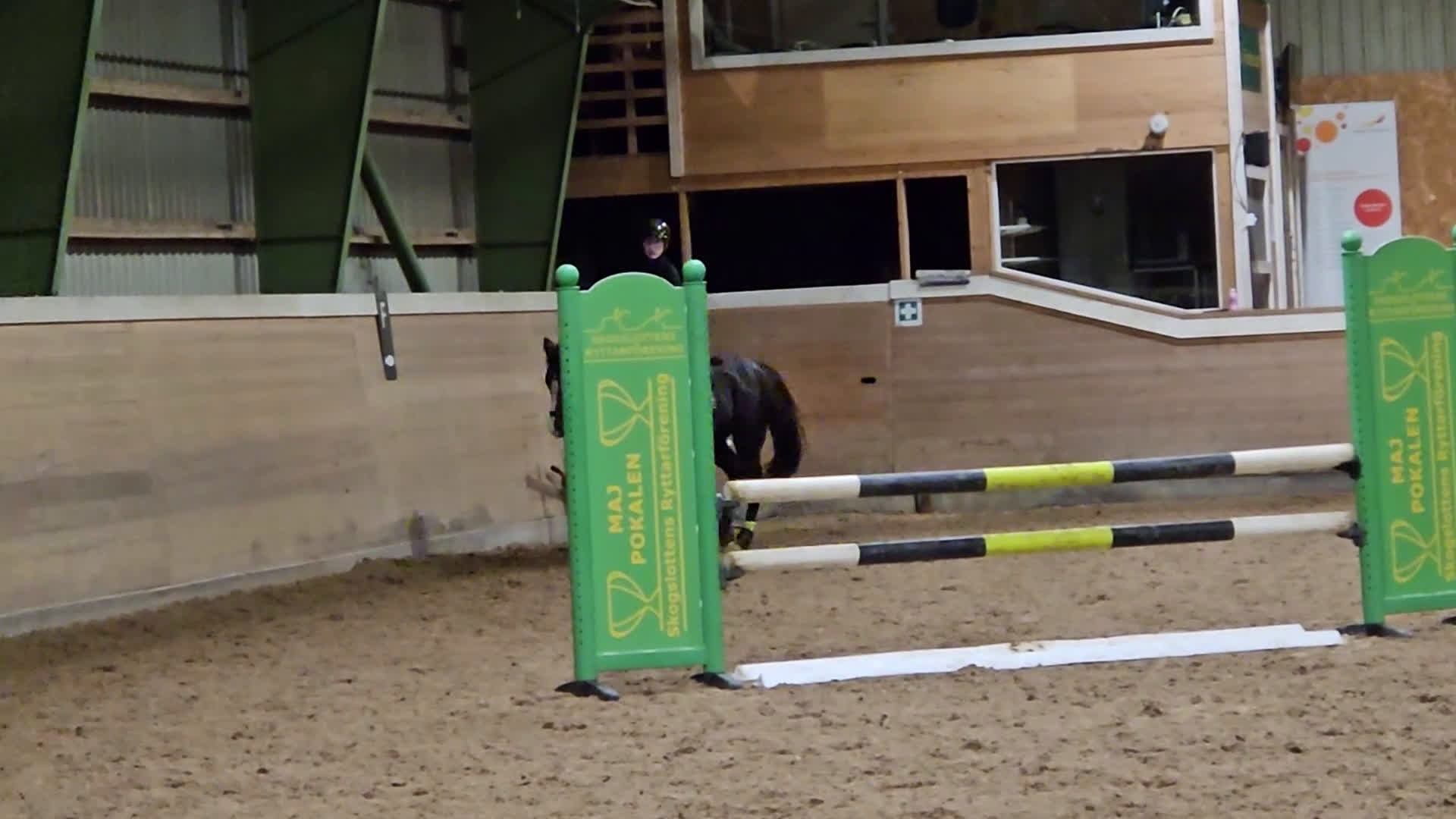 Allround hästar till salu: Elegant multi-talang i Svärtinge - Video 1