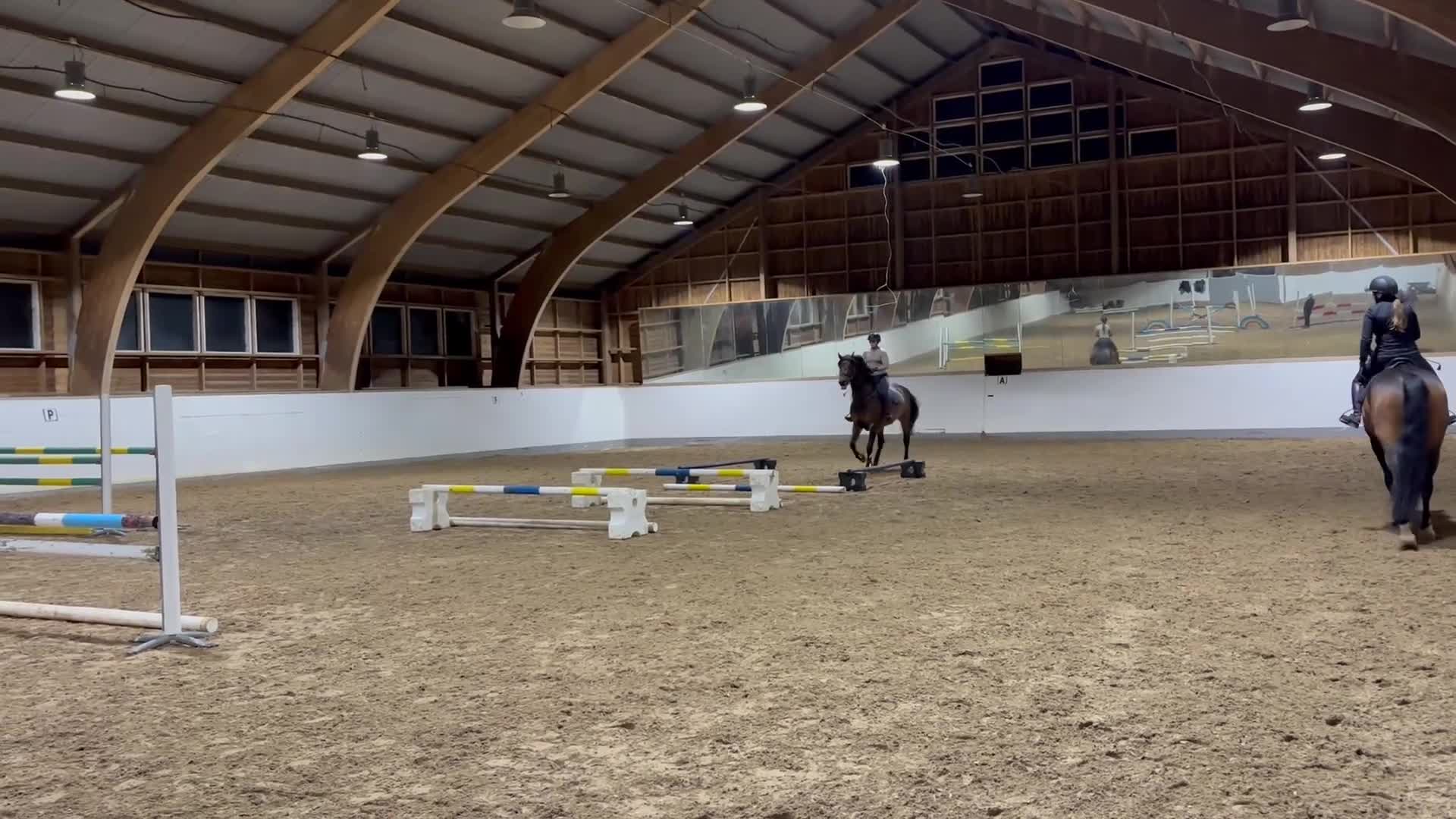 Hoppning hästar till salu: Fantastisk sto till salu i Tungelsta - Video 3