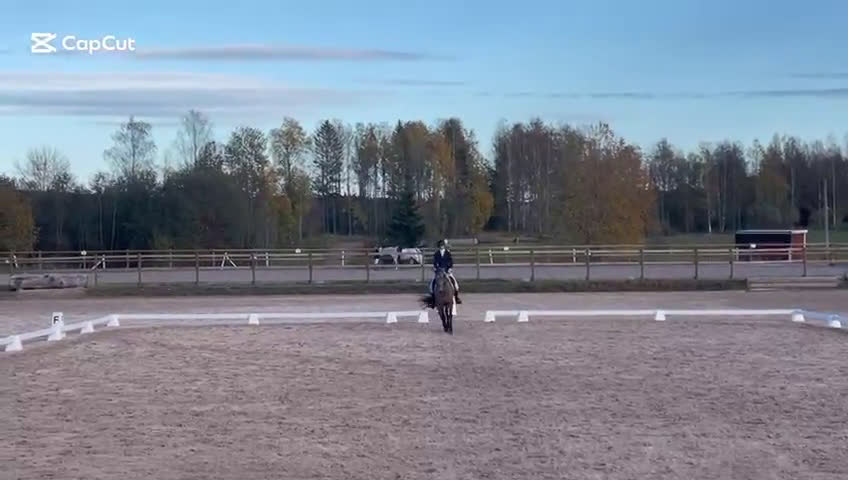 Fälttävlan hästar till salu: Fantastisk fälttävlansponny i Uppsala - Video 5