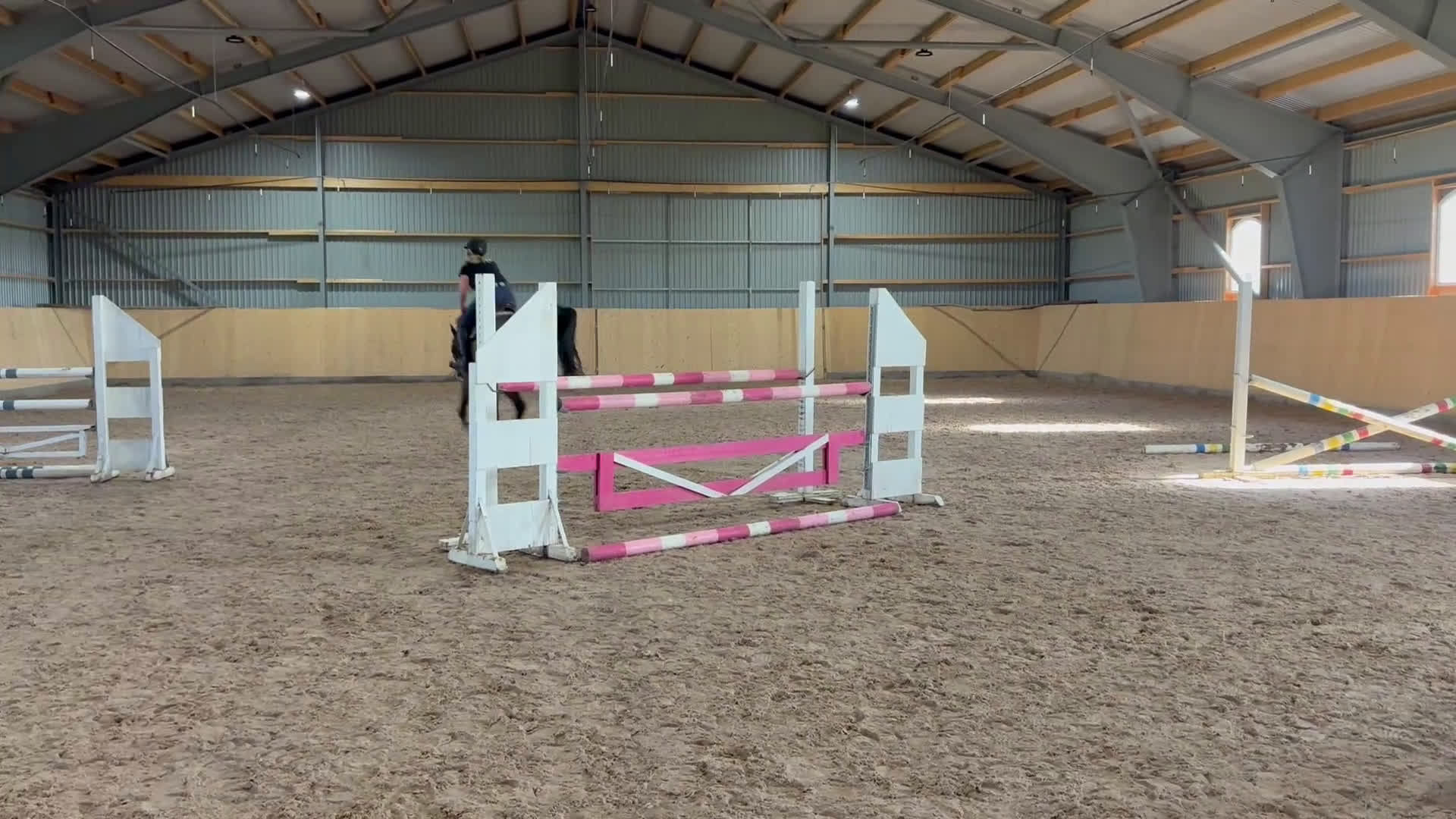 Hoppning hästar till salu: Storhoppande rolig häst - Video 3