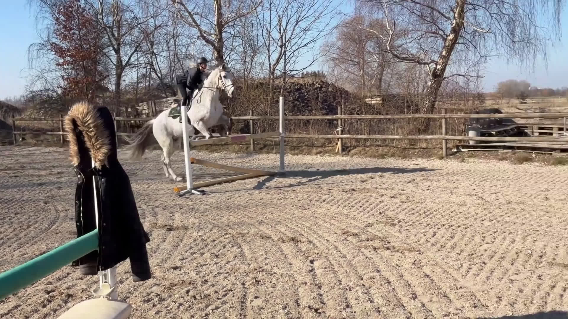 Hoppning hästar till salu: Skøn vallak sælges  - Video 1