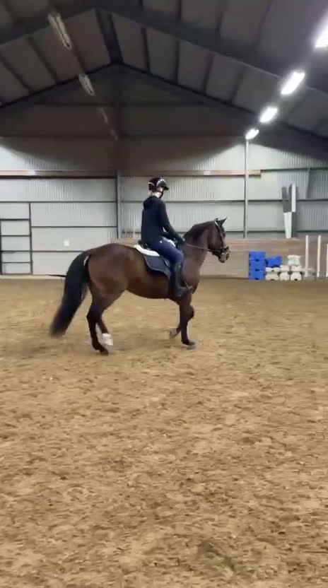 Allround hästar till salu: Nätt sto som vill fortsätta utvecklas i Stigtomta - Video 2