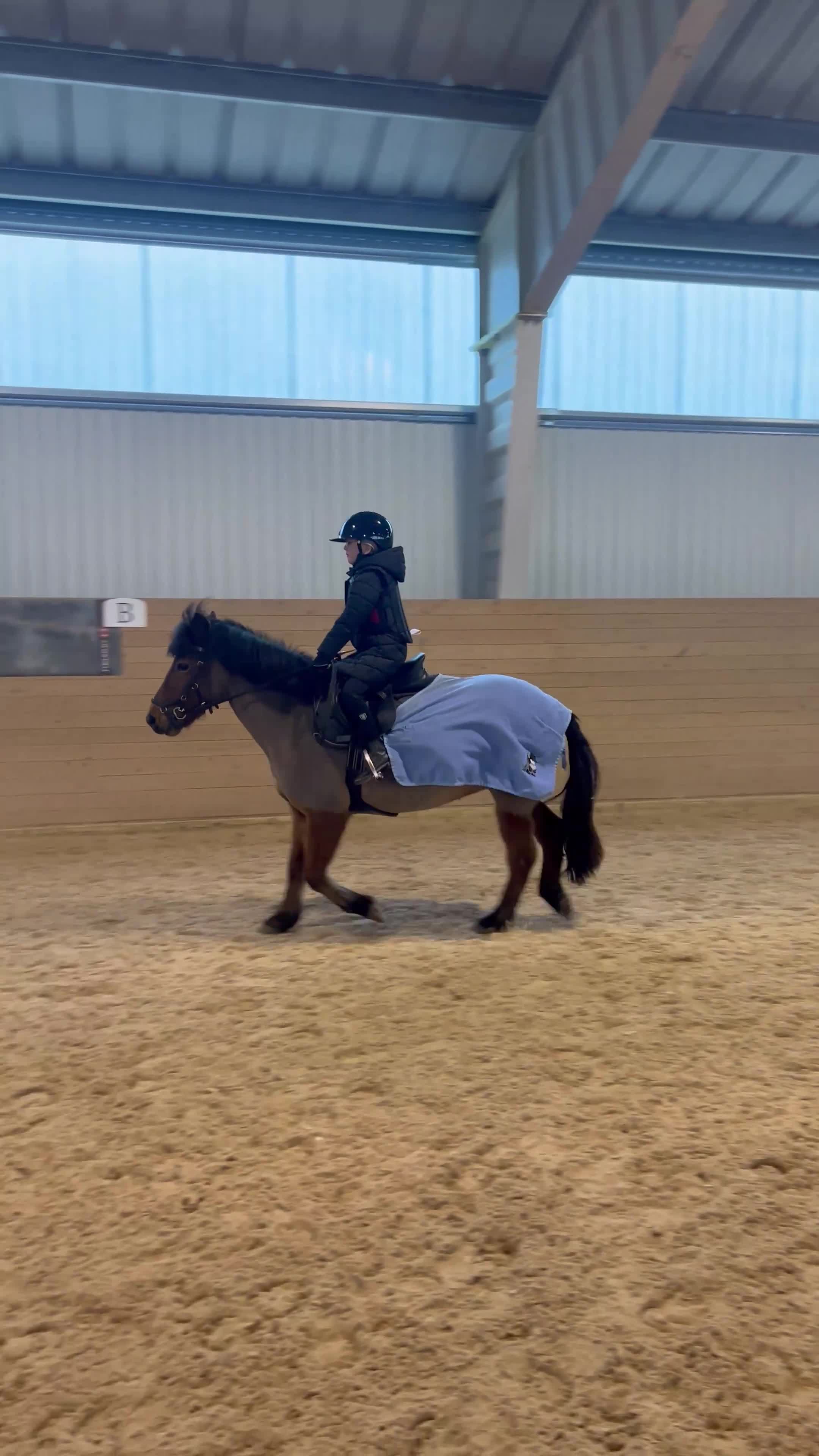 Dressyr hästar till salu: 🌟Sibborp’s Elwira🌟 - Video 1
