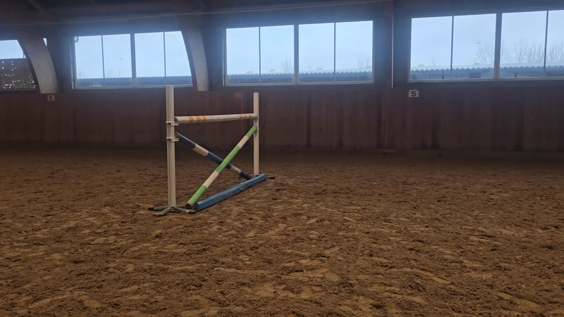 Allround hästar till salu: Trevligt rutinerat selektionsto, säljes el. Bytes - Video 2