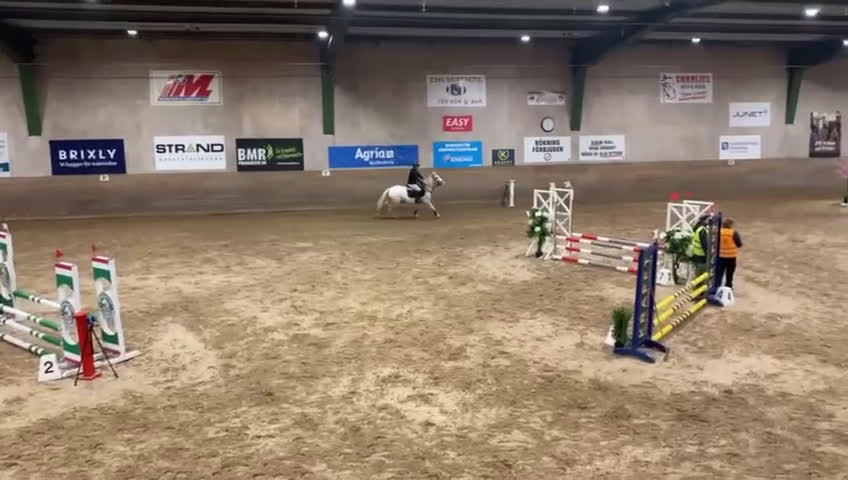 Allround hästar till salu: Ponny söker ny bästis - Video 4